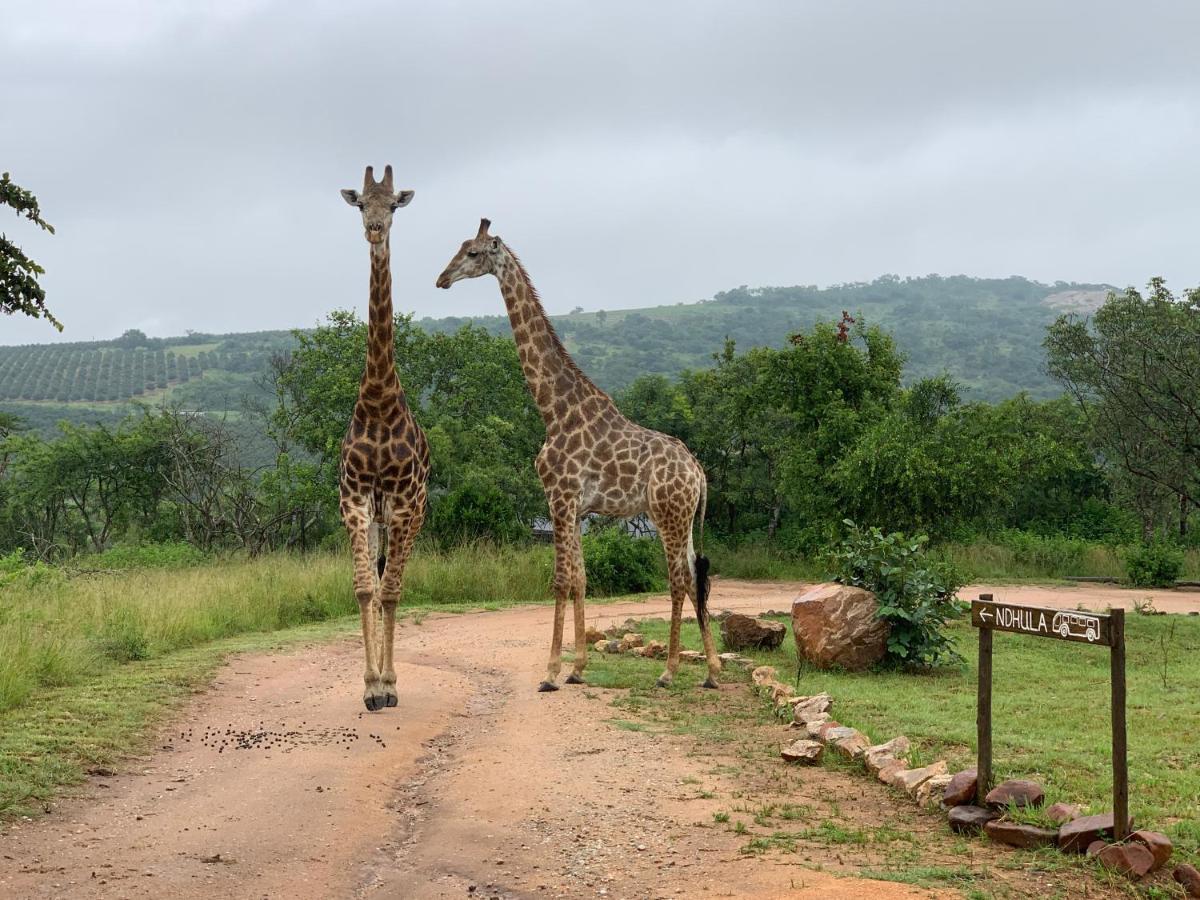 Ndhula Luxury Tented Lodge Уайт-Ривер Экстерьер фото