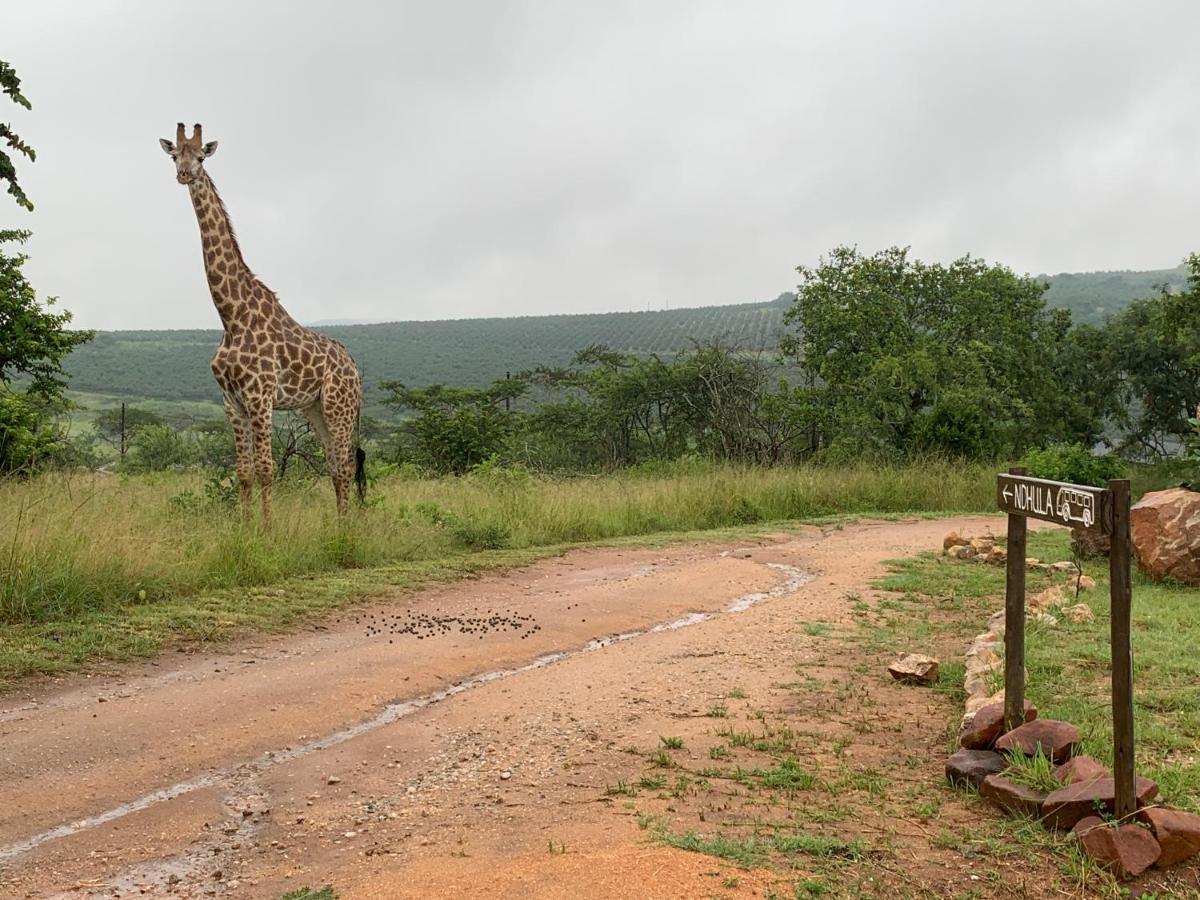 Ndhula Luxury Tented Lodge Уайт-Ривер Экстерьер фото