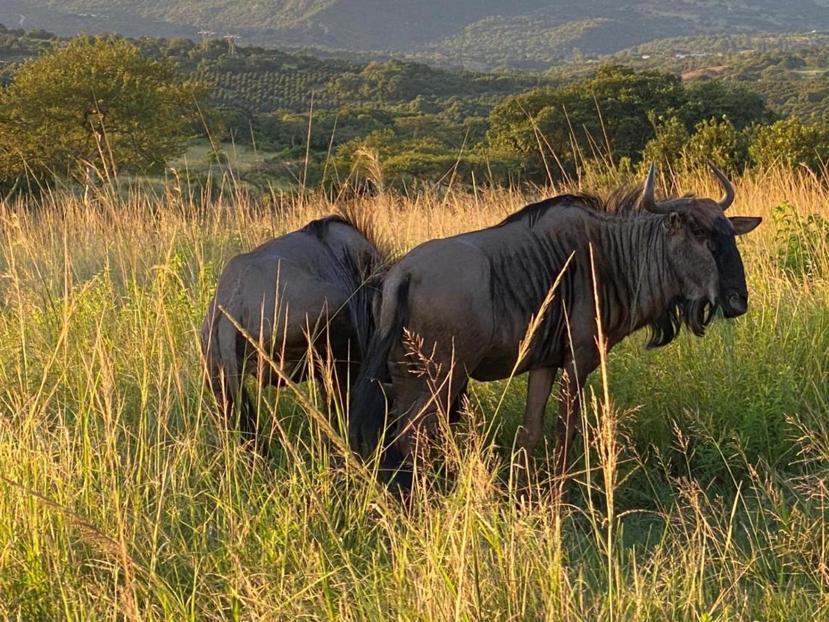 Ndhula Luxury Tented Lodge Уайт-Ривер Экстерьер фото