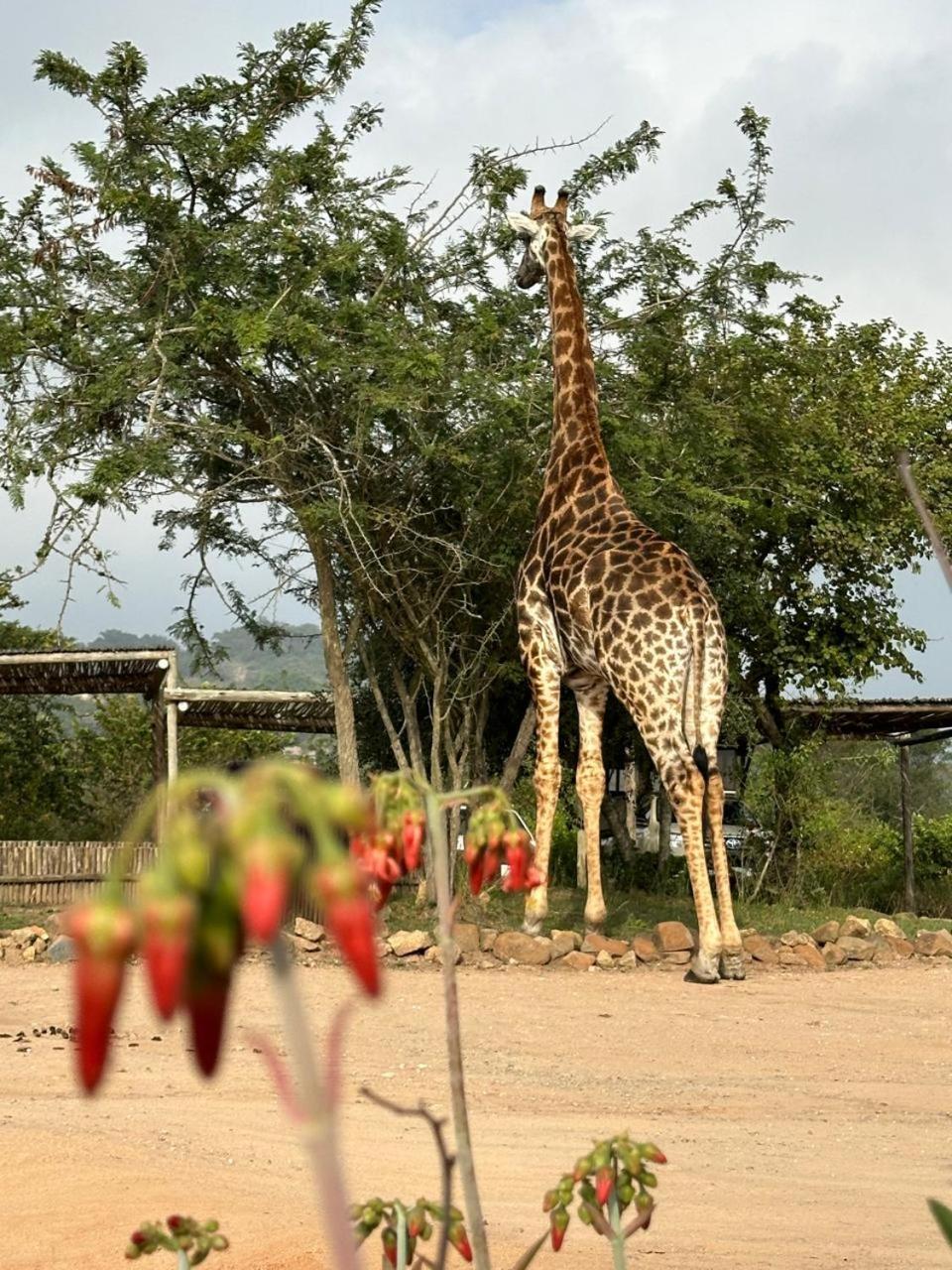 Ndhula Luxury Tented Lodge Уайт-Ривер Экстерьер фото